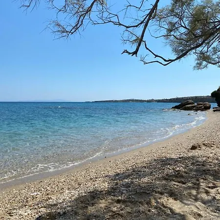 νησιώτικο 3*