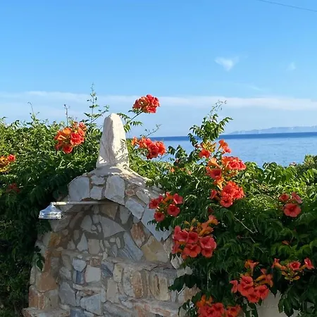 νησιώτικο Δρυός