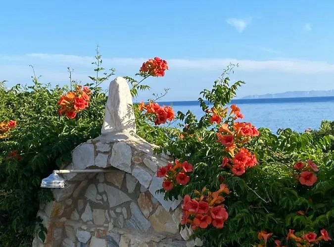 νησιώτικο Δρυός