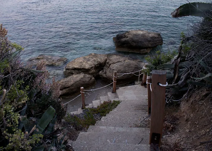 νησιώτικο Δρυός