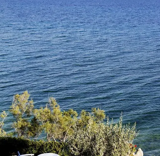 νησιώτικο Ξενοδοχείο με διαμερίσματα Δρυός